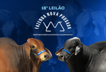 18º LEILÃO BRAHMAN FAZENDA NOVA POUSADA